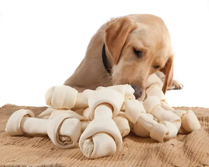 Rawhide Dog Chews Treats Movement Retail Case Study Image